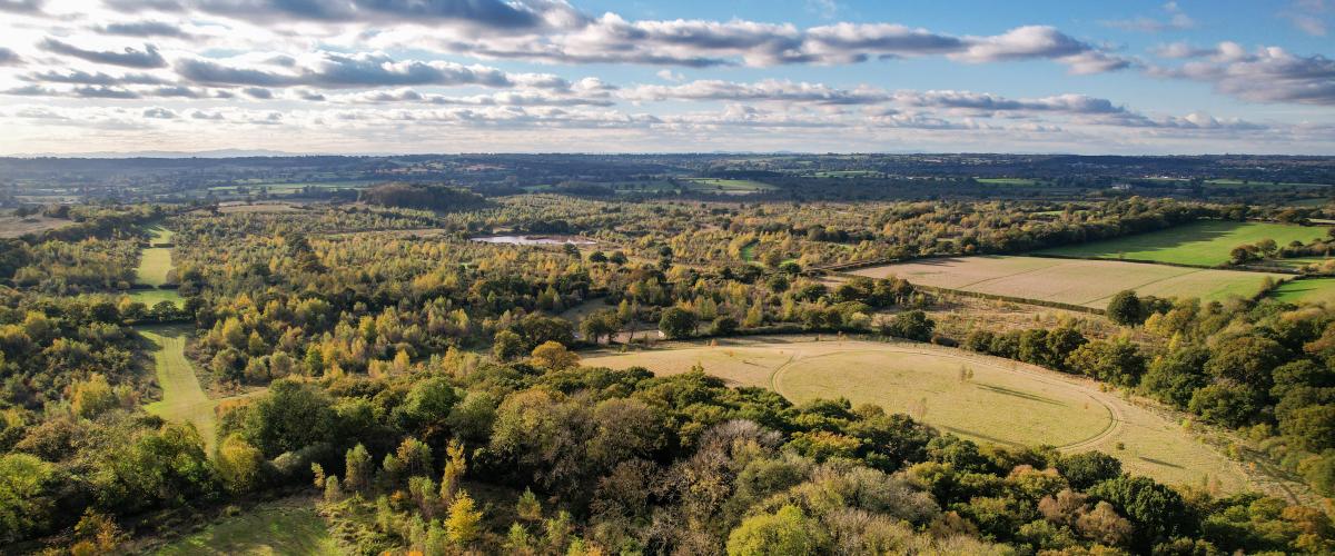 Aerial View of Alne Wood Park