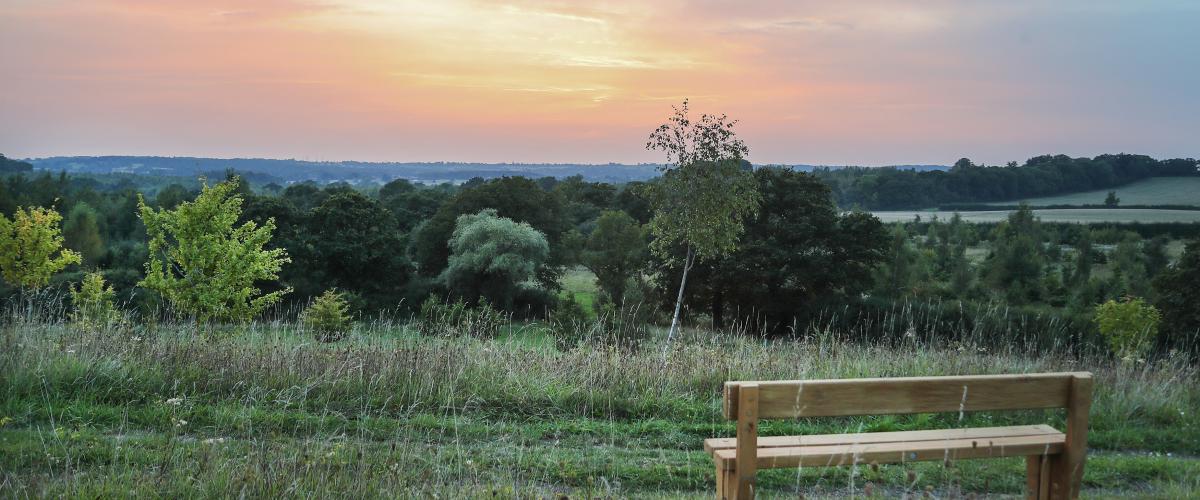 Sunset with bench in foreground