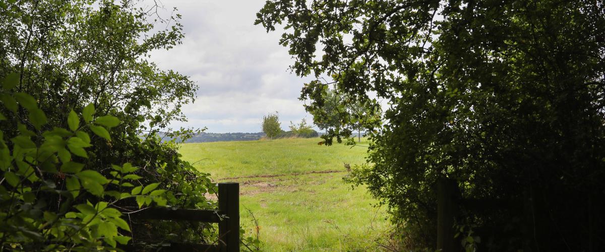 View through the gate from the Alne Wood