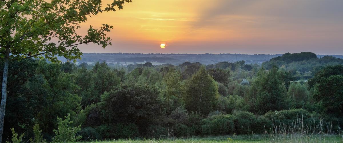 Sunset looking West at Alne Wood Park