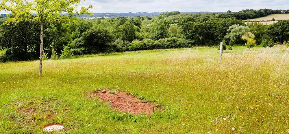 Grave, tree and distant view at Alne Wood Park. 