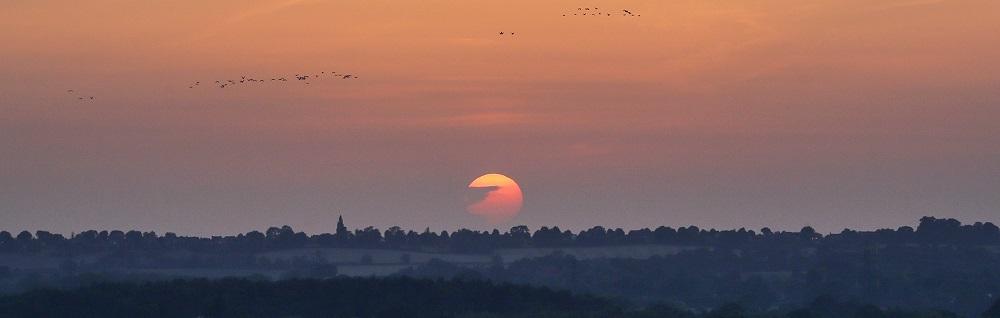 Sunset over Alne Wood Park