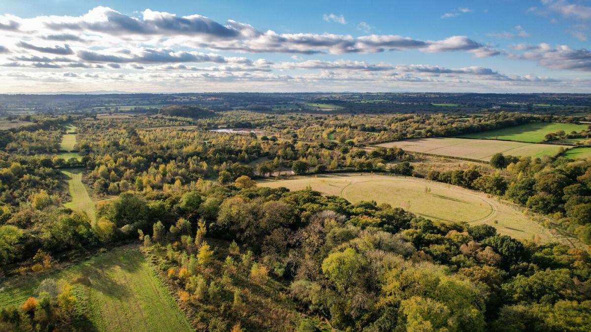 Aerial photo of Alne Wood Park Natural Burial Ground
