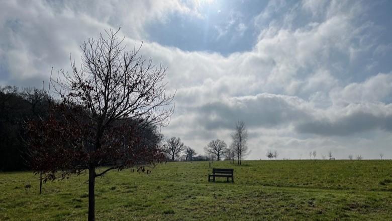 March sunshine