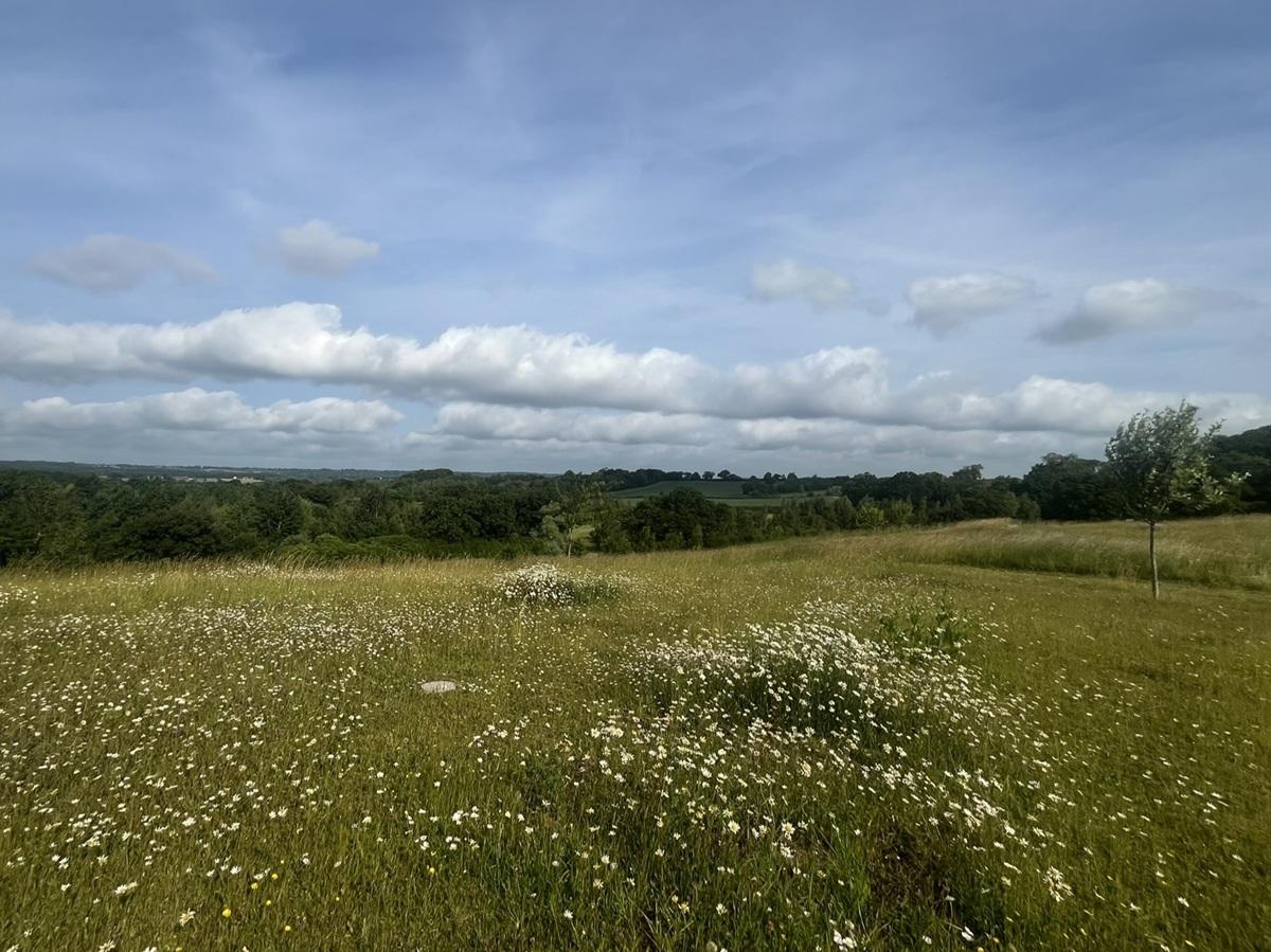 Panoramic view taken at Alne Wood Park