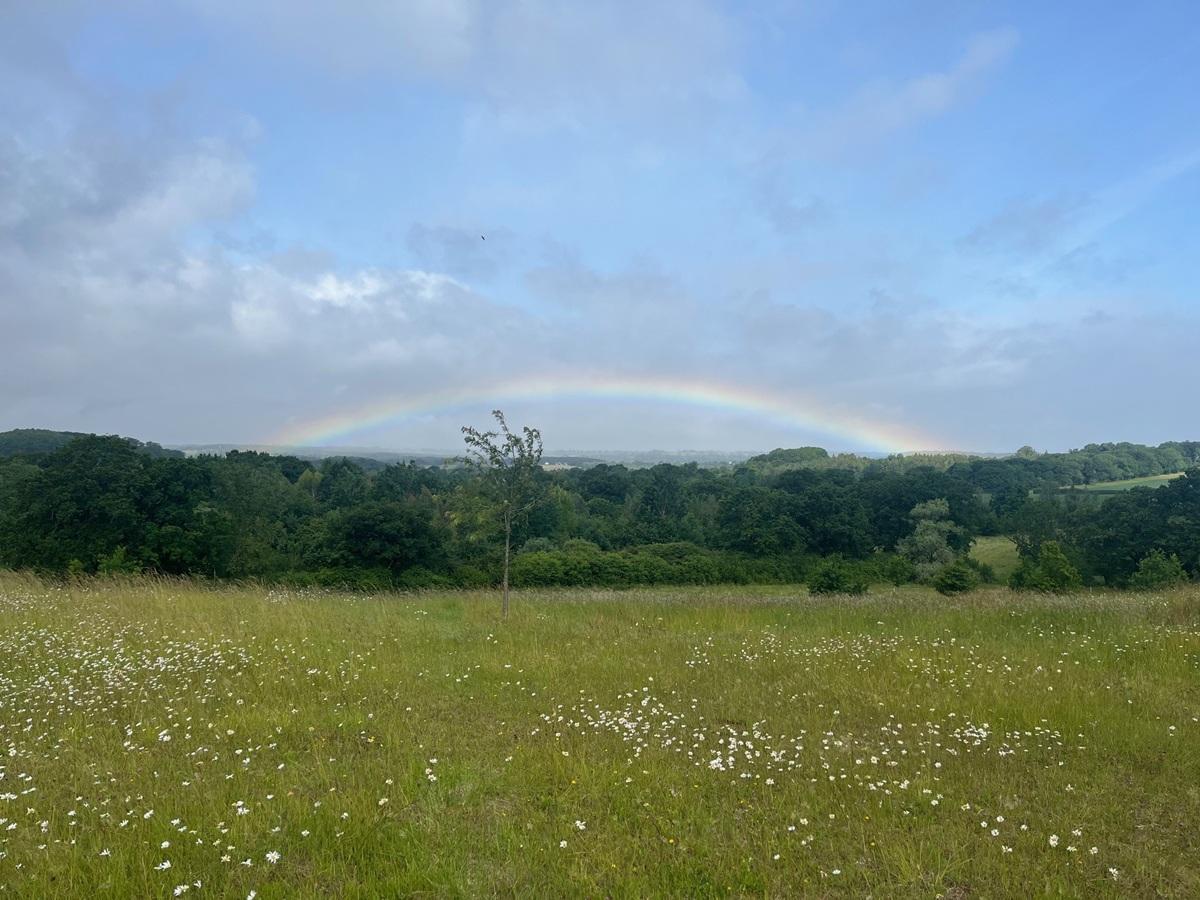 Landscape view at Alne Wood Park with rainbow in background