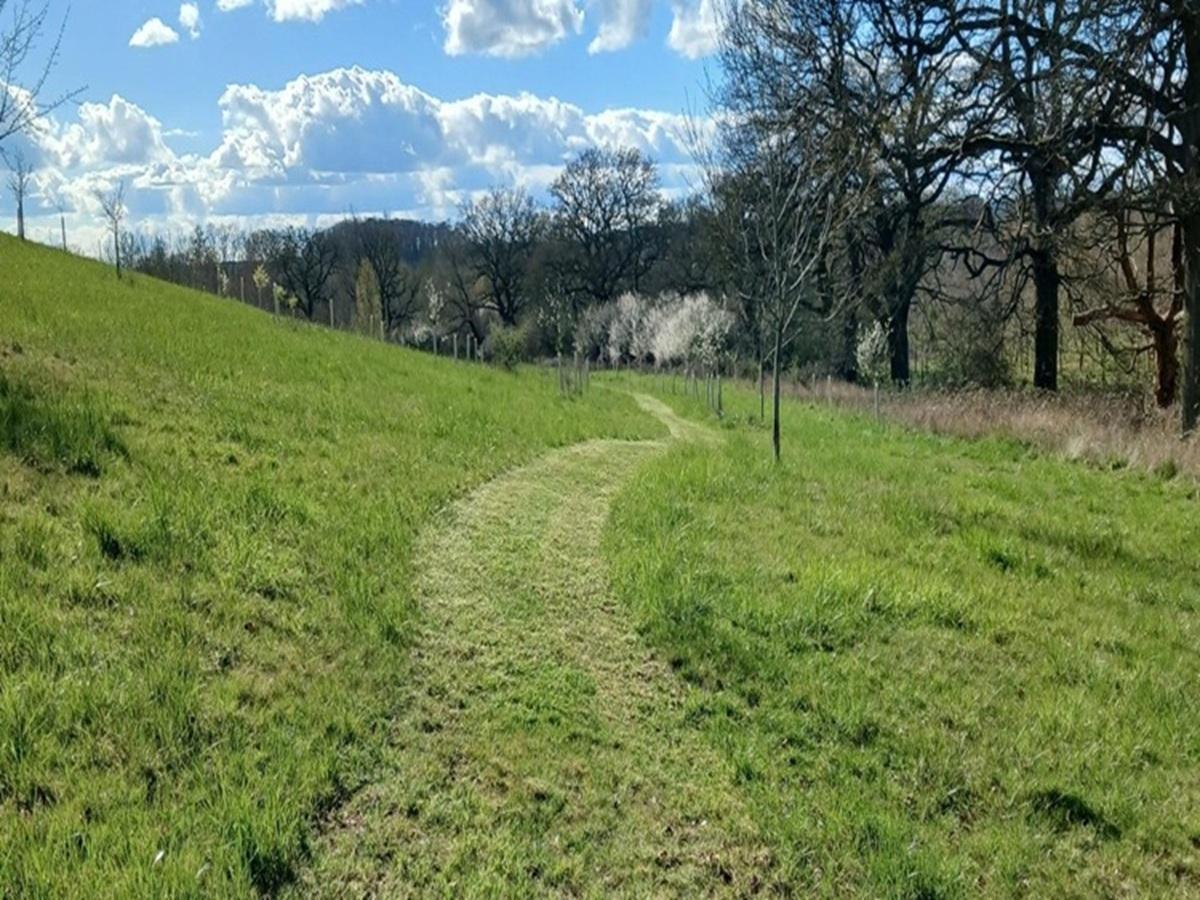 Picture of the memorial tree pathway at Alne Wood Park