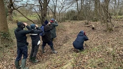 People watching birds with binoculars in woodland 