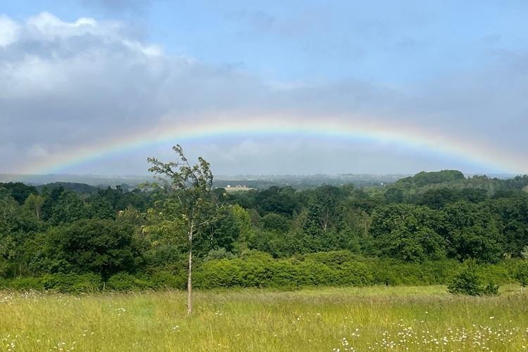 Landscape image at Alne Wood Park with rainbow in background