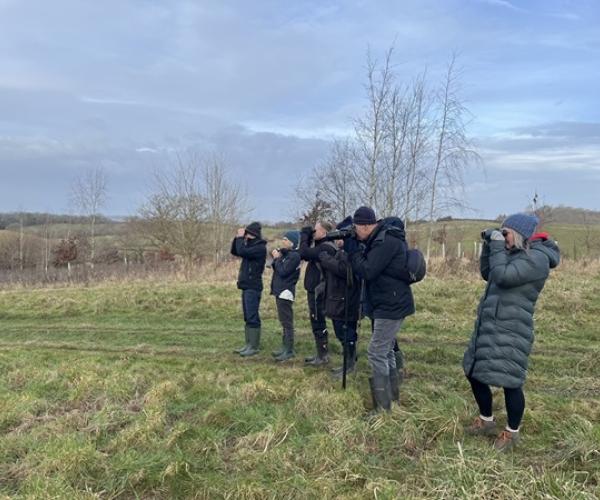 People watching birds through binoculars in a field with trees