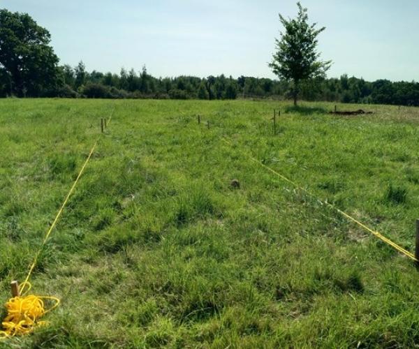 Marking plots with yellow rope on a natural burial ground