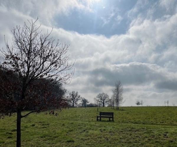 March sunshine 