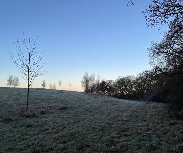 Winter scene at Alne Wood Park burial ground